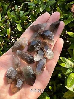 Natural Smoky Quartz Crystal Points, Small Smoky Quartz Point, Wholesale Bulk Lot