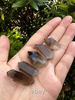 Natural Smoky Quartz Crystal Points, Small Smoky Quartz Point, Wholesale Bulk Lot