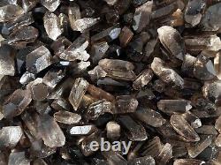 Natural Smoky Quartz Crystal Points, Small Smoky Quartz Point, Wholesale Bulk Lot