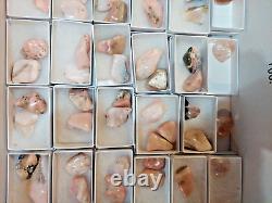 Pink Opal Tumbled Stone from Peru 57 Pieces 3/4 to 1.5 Wholesale