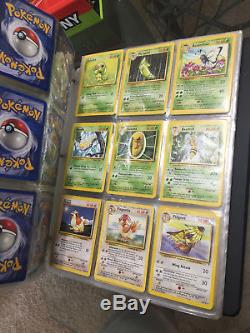Pokemon TCG 100 card lot, my personal collection