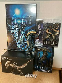 Rebor SWARM X-REX McFarlane Aliens HICKS CC Exclusive NECA Chrysalis Alien