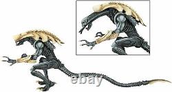 Rebor SWARM X-REX McFarlane Aliens HICKS CC Exclusive NECA Chrysalis Alien