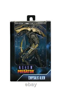 Rebor SWARM X-REX McFarlane Aliens HICKS CC Exclusive NECA Chrysalis Alien