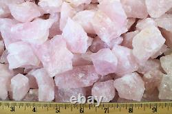 Rose Quartz Rough Rocks for Tumbling Bulk Wholesale 1LB options