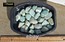 SALE! Tumbled AMAZONITE 1-2 25-35/Lb Green Microcline Gemstone Wholesale