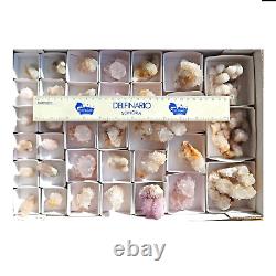 SPIRIT QUARTZ Cactus Crystal Citrine and White Wholesale 34 pcs CCFlat69