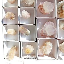 SPIRIT QUARTZ Cactus Crystal Citrine and White Wholesale 34 pcs CCFlat69