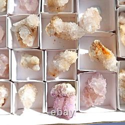 SPIRIT QUARTZ Cactus Crystal Citrine and White Wholesale 34 pcs CCFlat69