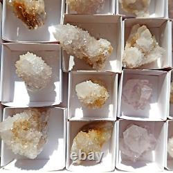 SPIRIT QUARTZ Cactus Crystal Citrine and White Wholesale 34 pcs CCFlat69