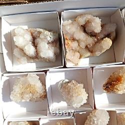 SPIRIT QUARTZ Cactus Crystal Citrine and White Wholesale 34 pcs CCFlat69