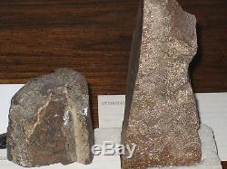 STEGOSAURUS Dinosaur Armor Plated Bone Uinta Basin Utah, NTL Monument Fossil LOT