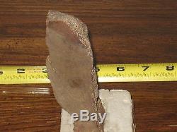 STEGOSAURUS Dinosaur Armor Plated Bone Uinta Basin Utah, NTL Monument Fossil LOT