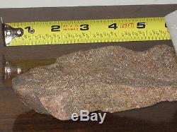 STEGOSAURUS Dinosaur Armor Plated Bone Uinta Basin Utah, NTL Monument Fossil LOT