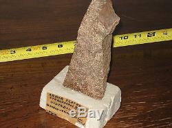 STEGOSAURUS Dinosaur Armor Plated Bone Uinta Basin Utah, NTL Monument Fossil LOT