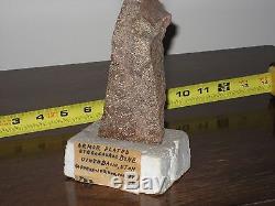 STEGOSAURUS Dinosaur Armor Plated Bone Uinta Basin Utah, NTL Monument Fossil LOT
