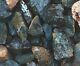 Sea Jasper Large Rough Rocks For Tumbling Bulk Wholesale 1lb Options