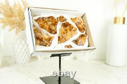 Set of 7 Citrine Clusters of Super Extra Grade, Wholesale Flat Box, Small, Deep