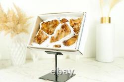 Set of 7 Citrine Clusters of Super Extra Grade, Wholesale Flat Box, Small, Deep