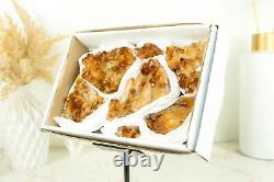 Set of 7 Citrine Clusters of Super Extra Grade, Wholesale Flat Box, Small, Deep