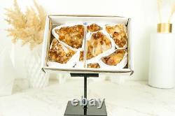 Set of 7 Citrine Clusters of Super Extra Grade, Wholesale Flat Box, Small, Deep