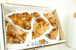 Set of 7 Citrine Clusters of Super Extra Grade, Wholesale Flat Box, Small, Deep