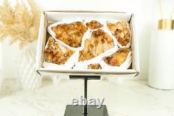 Set of 7 Citrine Clusters of Super Extra Grade, Wholesale Flat Box, Small, Deep