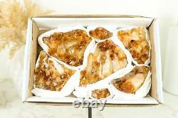 Set of 7 Citrine Clusters of Super Extra Grade, Wholesale Flat Box, Small, Deep