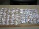 Sharks Teeth With Label Morocco, North Africa Fossil Wholesale 100 Bags