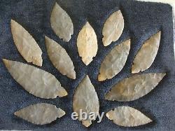 Stermer COA's Authentic 12 piece TURKEY TAIL CACHE Indian Arrowhead Artifact