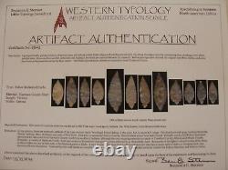 Stermer COA's Authentic 12 piece TURKEY TAIL CACHE Indian Arrowhead Artifact