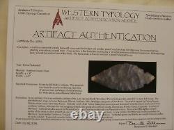 Stermer COA's Authentic 12 piece TURKEY TAIL CACHE Indian Arrowhead Artifact