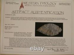 Stermer COA's Authentic 12 piece TURKEY TAIL CACHE Indian Arrowhead Artifact