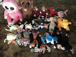 TY BEANIE LOT of 200 BEANIE BABIES/RARE/RETIRED/COLLECTION/AUTHENTICATED