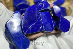 Top Quality Color Lapis Lazuli Free form tumbles Rough sculpture 12KG Wholesale