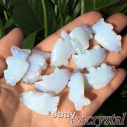 Top Wholesale Mix Natural Quartz Crystal Mini Fish Carved Crystal Healing 50PCS
