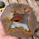 Uncut Oregon Lucky Strike Thundereggs Rough! Lapidary Wholesale