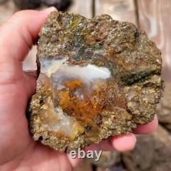 Uncut Oregon Lucky Strike Thundereggs Rough! Lapidary Wholesale