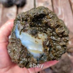 Uncut Oregon Lucky Strike Thundereggs Rough! Lapidary Wholesale