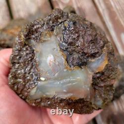 Uncut Oregon Lucky Strike Thundereggs Rough! Lapidary Wholesale