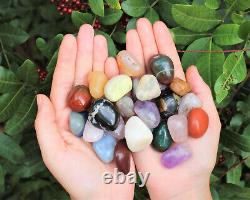 WHOLESALE 50 lb Lot of Medium Assorted Mixed Tumbled Stones