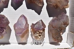 WHOLESALE Amethyst Scepter Quartz Crystals from Madagascar 12 pcs 2 kg # 5072