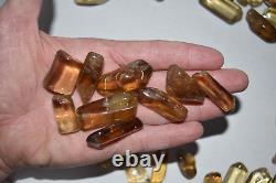 WHOLESALE Citrine Tumbled Stones from Mansa, Zambia 45 pcs 500 grams # 5164