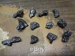 Wholesale Lot Of 12 Small. Sikhote Alin Iron Meteorites 146 Gms Russia