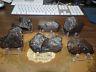 Wholesale Lot Of 6 Campo Del Cielo Meteorites A Grade With Stands Low Low Price