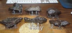WHOLESALE LOT OF 6 CAMPO DEL CIELO METEORITES A GRADE With STANDS LOW LOW PRICE