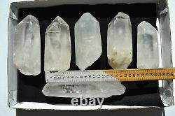 WHOLESALE Large Quartz Crystals from Madagascar 6 pcs 4.1 kg # 5097