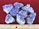 Wholesale Mini. 5-1 Or Small 1-2 Amethyst Geode Clusters From Brazil / Uruguay