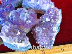 WHOLESALE Mini. 5-1 or Small 1-2 AMETHYST Geode CLUSTERS from Brazil / Uruguay