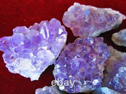 WHOLESALE Mini. 5-1 or Small 1-2 AMETHYST Geode CLUSTERS from Brazil / Uruguay